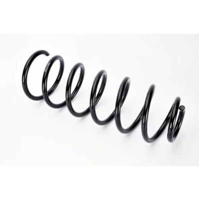 Imagen de Magnum Technology SX117MT Muelle de suspensión Eje trasero helicoidal para vehículos sin regulación nivel