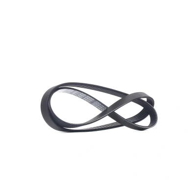 Imagen de DAYCO 5PK1145 Correa trapecial poli V 1145,0 5 FIAT: Stilo Hatchback, Punto II Doblo I Cargo, MG: ZS Berlina, MG ZR Hatchback norauto,
