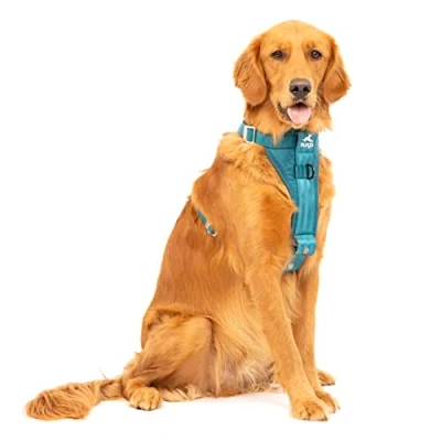 Imagen de Kurgo Tru Fit Arnés para Perro, de Paseo Perros, Anillo en D Entrenamiento sin Tirones, Incluye Mosquetón Seguridad Azul, L