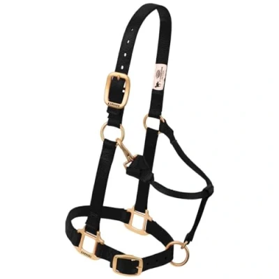 Imagen de Weaver Leather TRV154688 1&quot; LG BLK Snap Halter, Nailon, Negro, Large Horse