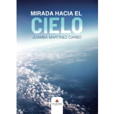 Imagen de Mirada hacia el cielo (SIN COLECCION)
