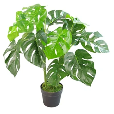 Imagen de Leaf Maceta Artificial Monstera (80 cm), Color Negro