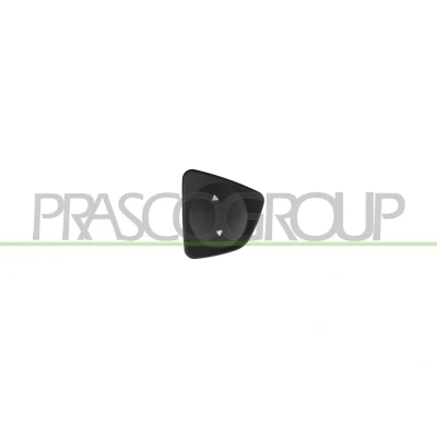Imagen de PRASCO FT030WS01 Interruptor, elevalunas Delante, derecha