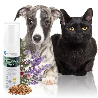 Imagen de Aventix Dermoscent 920 8507 Pyoclean Spray