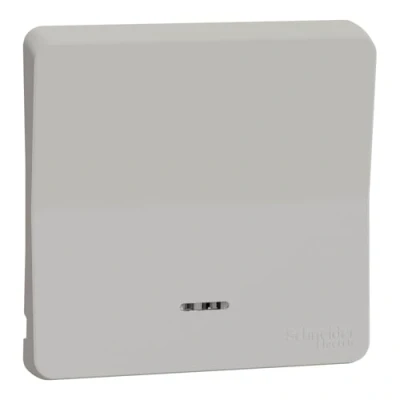 Imagen de Schneider Electric MUR39204 Mureva Styl IP55 IK08 Tapacubos con lente (IP55), color blanco