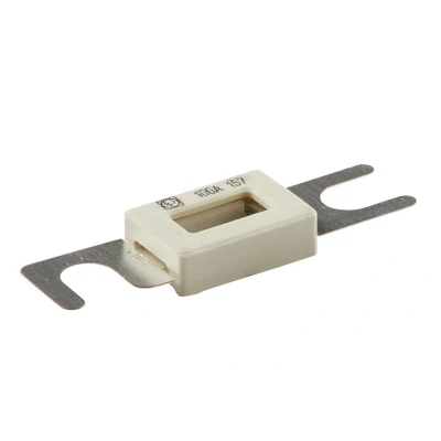 Imagen de HELLA 8JS 713 575 241 Fusible 100