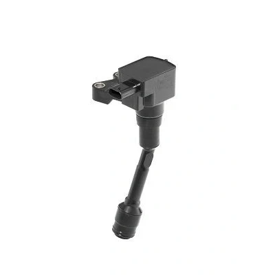 Imagen de BERU ZSE215 Bobina de encendido 3 12 negro con electrónica FORD: FOCUS 3, FIESTA 6, Turnier
