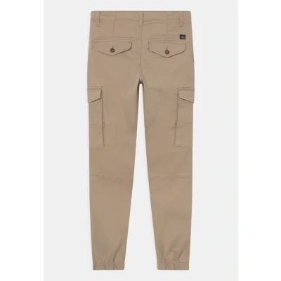 Imagen de Pantalón Jack &amp; Jones Paul Flake