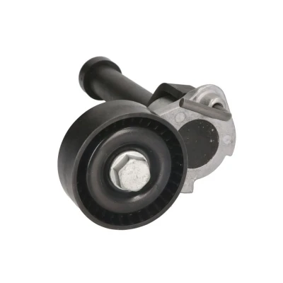 Imagen de INA 534 0422 10 Brazo tensor, correa trapecial poli V VOLKSWAGEN: Golf 5, Passat B6 Berlina, Variant, SEAT: Leon II Hatchback, Altea XL