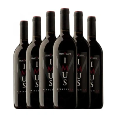 Imagen de Falset Marçà Imus Selection Montsant Joven 75 cl Vino tinto (Caja de 6 Botellas cl)