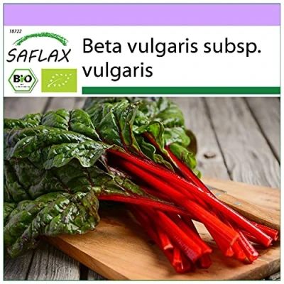 Imagen de SAFLAX Ecológico Acelga blanca (betabel) 50 semillas Beta vulgaris