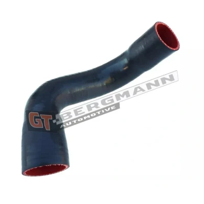 Imagen de GATES 09 1311 Manguera Turbo Silicona RENAULT: SCENIC 2, MEGANE 2 Stufenheck