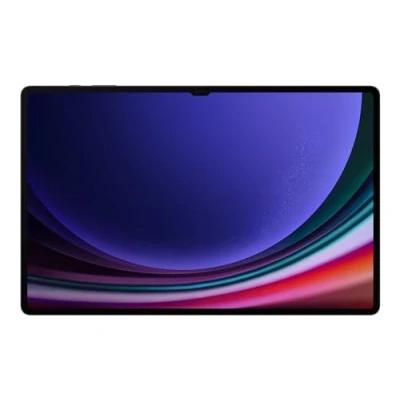 Imagen de Samsung Galaxy Tab S9 Ultra WiFi + 5G 256GB X916 Gris