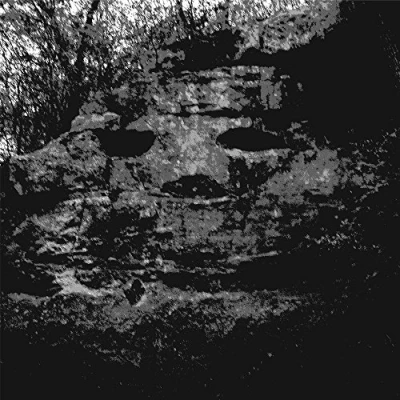 Imagen de A Dragonfly For Each Corpse (vinilo)