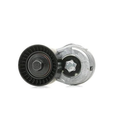 Imagen de INA 534 0109 20 Brazo tensor, correa trapecial poli V FIAT: Stilo Hatchback, BRAVO 1, ALFA ROMEO: 147, GT norauto, oscaro, mister auto