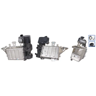 Imagen de DRI 717730323 Válvula EGR eléctrico con juntas VOLKSWAGEN: Crafter Furgón, Bus, Camión de plataforma/Chasis