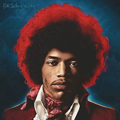 Imagen de Both Sides Of The Sky [Vinilo]