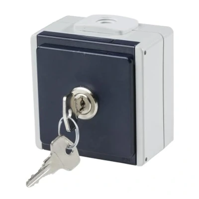 Imagen de as Schwabe 62461 Interruptor estanco (230V)
