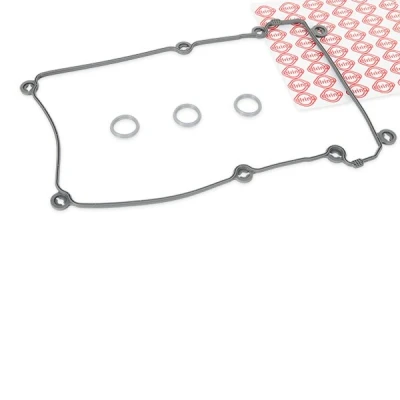 Imagen de ELRING 246.100 Juego de juntas, tapa culata cilindro derecha FORD: Cougar Coupé, MONDEO 3 Kombi,
