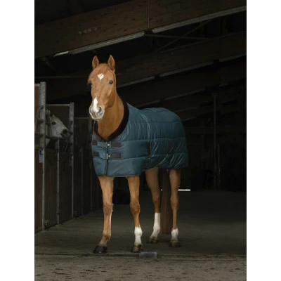 Imagen de EQUITHÈME Staldeken Teddy
