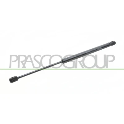 Imagen de PRASCO FT1329055 Amortiguador de maletero 300 445 Atrás izquierda, derecha FIAT: Punto I Hatchback
