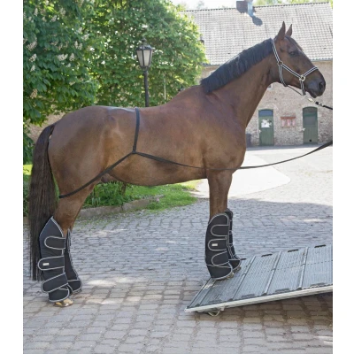 Imagen de Waldhausen Transport Aid