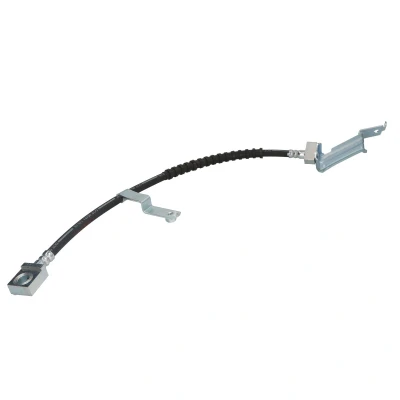 Imagen de DELPHI LH6120 Latiguillos de Freno 500 3/8&quot;x24 UNF Int DF