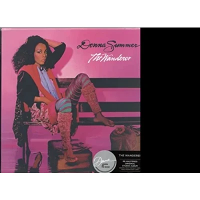 Imagen de The Wanderer Vinilo