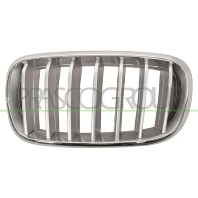 Imagen de BLIC 6502 07 00969955P Parrilla Delante, izquierda titanio, cromo BMW: X5