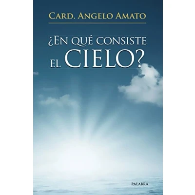 Imagen de En Que Consiste El Cielo (dBolsillo)