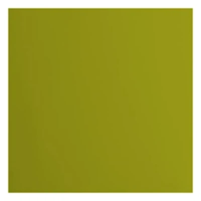 Imagen de Florence Cardstock Papel Cuadrado (216 Gramos/m², 30,5 x cm, 20 Unidades), Color Verde, Grün, 30.5 cm