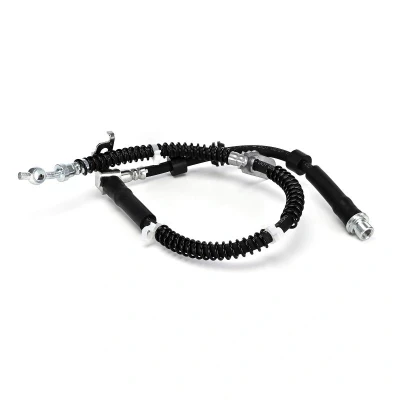 Imagen de DELPHI LH7980 Latiguillos de Freno 582mm M10x1 129 SF