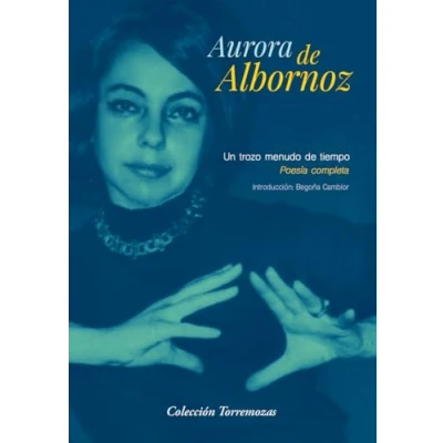 Imagen de Un trozo menudo de tiempo: Poesía completa (TORREMOZAS)