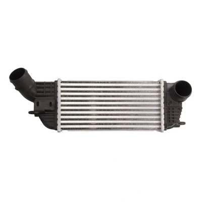 Imagen de THERMOTEC DAP005TT Intercooler 299 x 155 81 mm