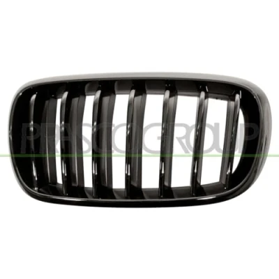Imagen de PRASCO BM8272004 Parrilla izquierda liso negro BMW: X5