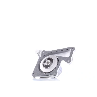 Imagen de DAYCO DP200 Bomba de agua 52,2 RENAULT: MEGANE 3, SCENIC 3 Coupe, NISSAN: Juke, Qashqai / Qashqai+2 I, 2, DACIA: SANDERO Lodgy