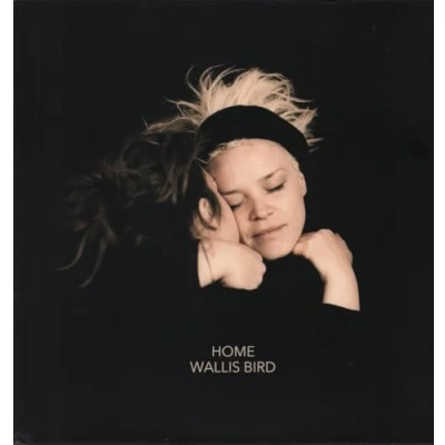 Imagen de Home Vinilo