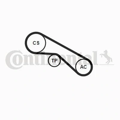Imagen de CONTITECH CT988K2 Kit de correa distribución 96 RENAULT: CLIO 2, Kangoo I, MEGANE 1, DACIA: Logan I MCV, Berlina, Express