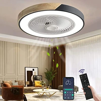 Imagen de Wildcat ventilador de techo madera con luz LED iluminación, invisible regulable control remoto, lámpara silenciosa temporizador