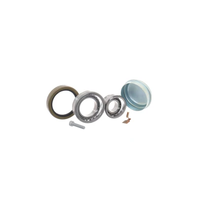 Imagen de SKF VKBA 6645 Juego de cojinete rueda con anillo retención 59,1