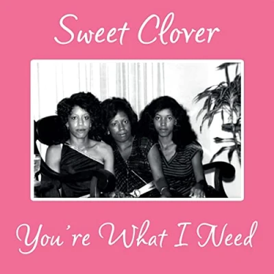 Imagen de You&#039;re What I Need Vinilo Single 12&quot; Sweet Clover