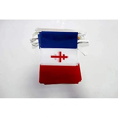Imagen de GUIRNALDA 6 metros 20 BANDERAS de FRANCIA LIBRE 1940 1944 21x15cm BANDERA RESISTENCIA FRANCESA 15 x 21 cm BANDERINES AZ FLAG