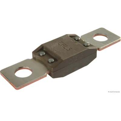 Imagen de HERTH+BUSS ELPARTS 50295845 Fusible gris oscuro 32