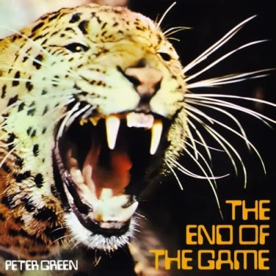 Imagen de The End Of Game [Vinilo]