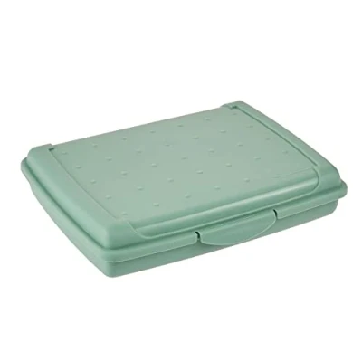 Imagen de keeeper Recipiente para alimentos frescos con cierre de clic, 17 x 13 3,5 cm, 500 ml, Luca Mini, Verde Nordic