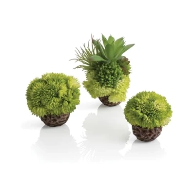 Imagen de biOrb Juego de bolas coral en color verde