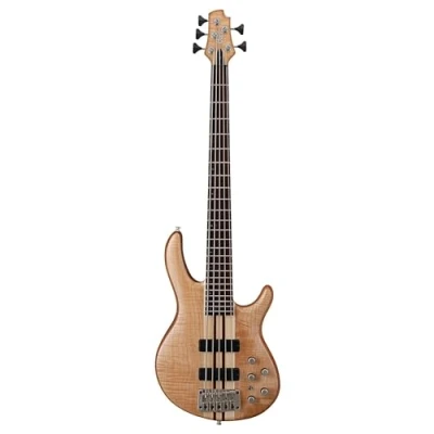 Imagen de Cort B 001 0749 0 Professional Electric Bass 5 String