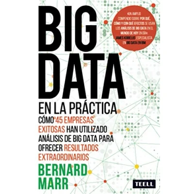 Imagen de big data en la práctica: Cómo 45 empresas exitosas han utilizado análisis de para ofrecer resultados extraordinarios (SIN COLECCION)