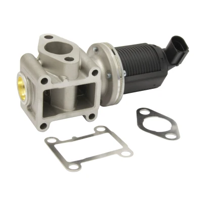 Imagen de MAPCO 83707 Válvula EGR eléctrico electromagnética con junta OPEL: Astra H GTC, Zafira B, Hatchback, ALFA ROMEO: 147, 156 Sportwagon
