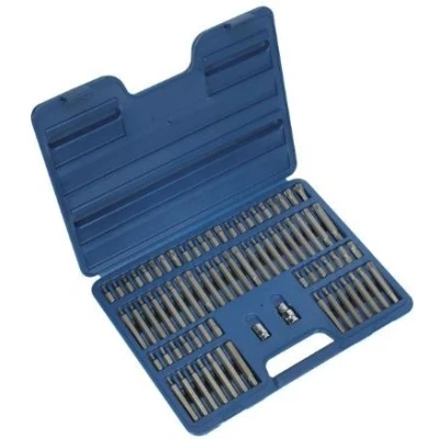 Imagen de SEALEY AK21974 Kit de puntas tornillo Maleta plástico 74